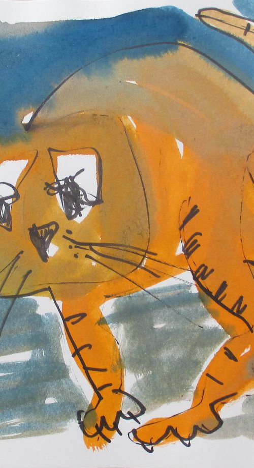 orange cat by Sonja Zeltner-Müller
