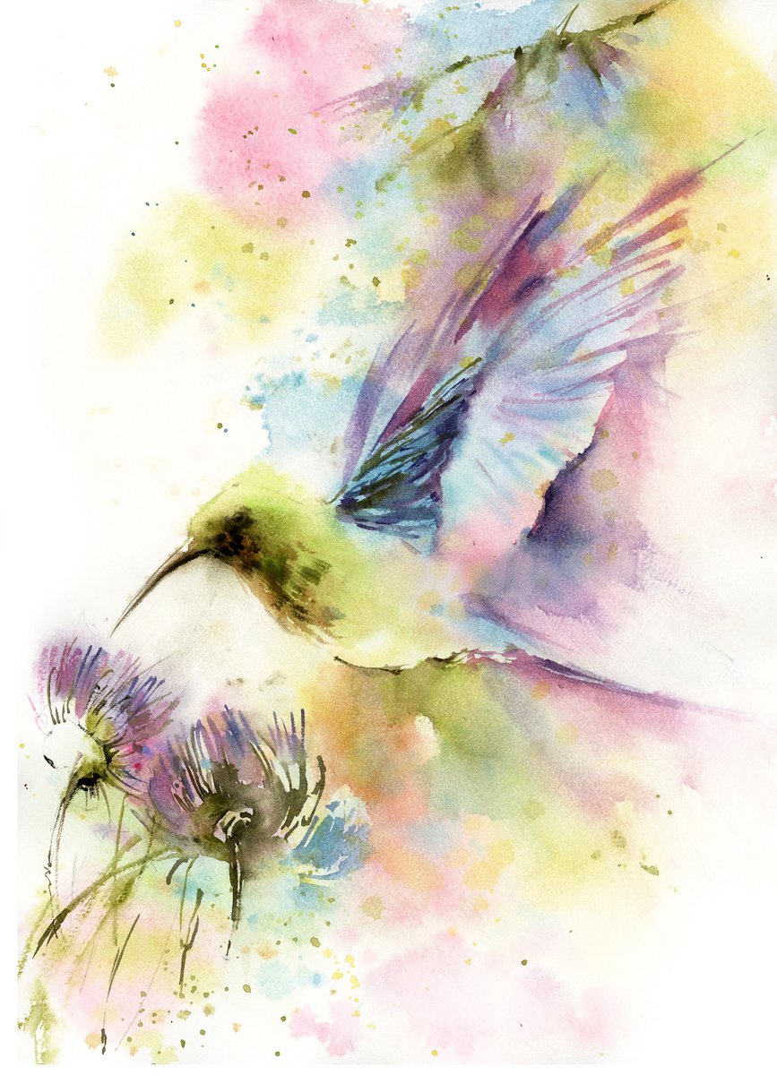 Hummingbird by Sophie Rodionov