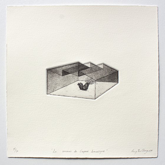 THE MEMORY OF DOMESTIC SPACE