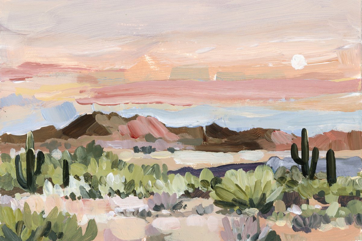 Arizona Desert by Shina Choi