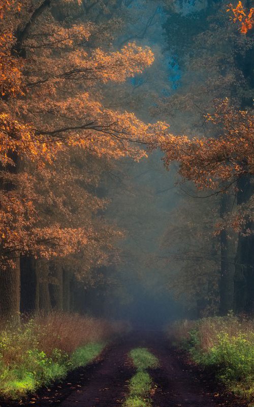 Shaman_s road on the other side by Janek Sedlar