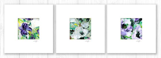 Blossoms Of Love Collection 3