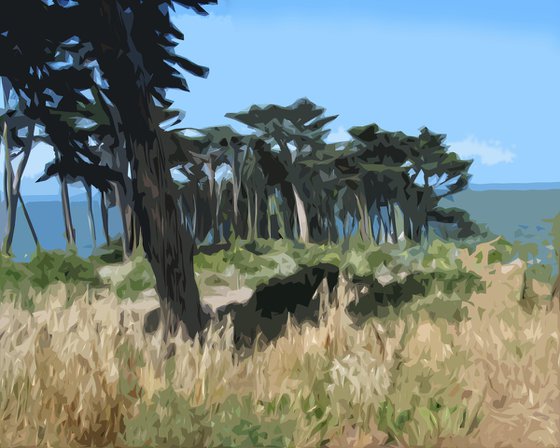 Point Lobos, San Francisco