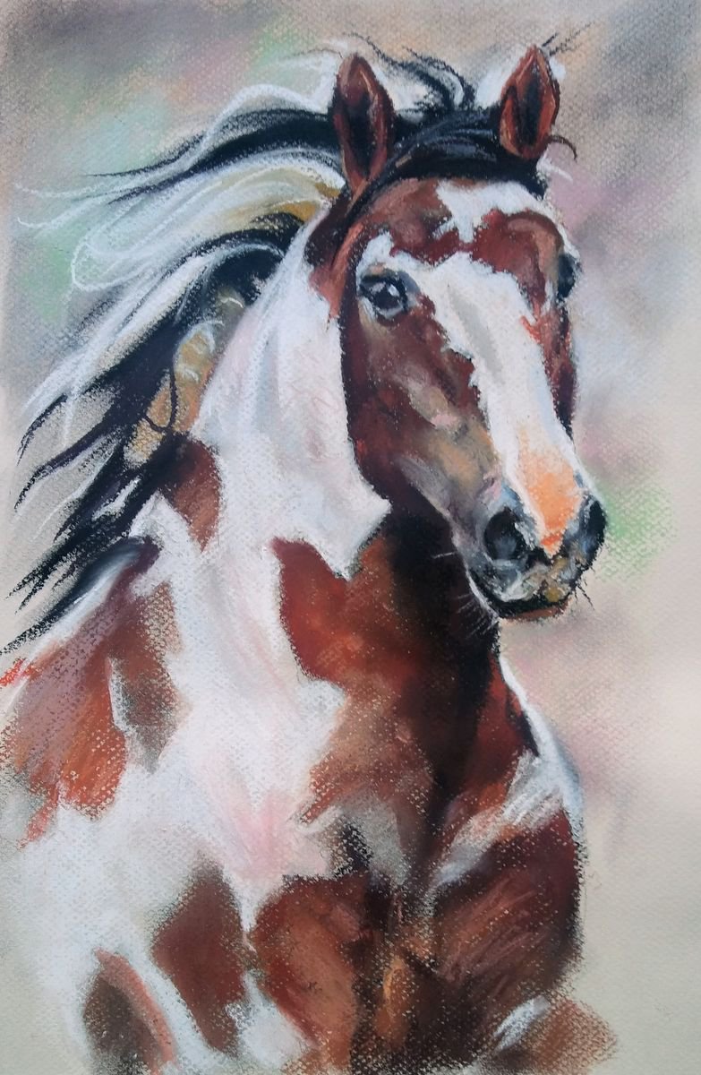 Mustang stallion by Magdalena Palega