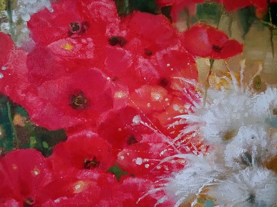 Poppies in the Field