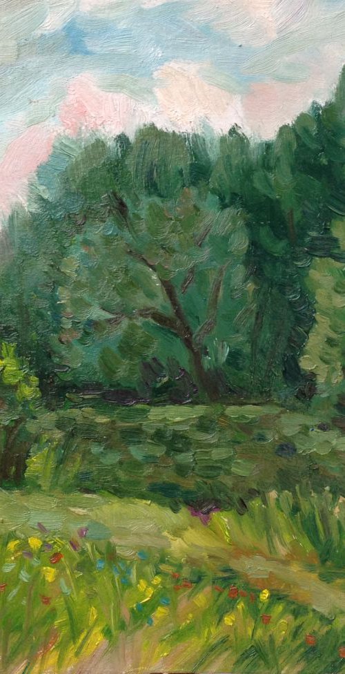 Summer Trees, River bank. by Roman Sergienko