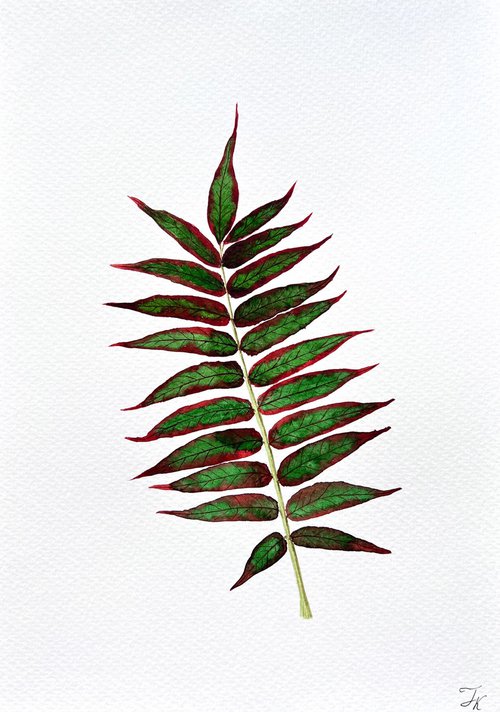 Autumn leaf Sketch #8 by Tetiana Kovalova