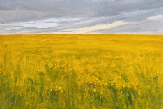 Yellow Field