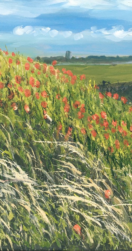 Landscape with poppies 4 by Elena Sokolova