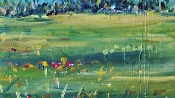 Summer Meadow