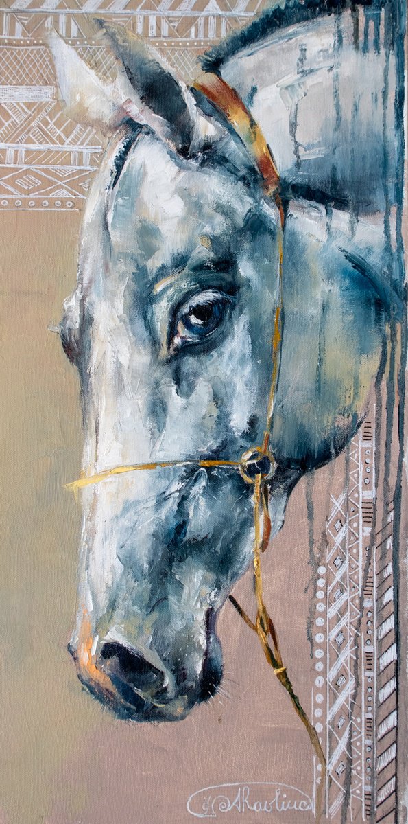 Akhal-Teke Stallion by Anna Ravliuc-Bloomfield