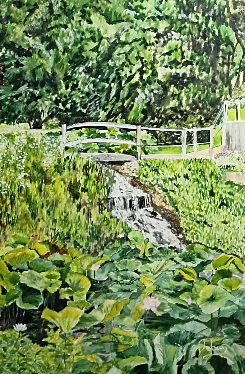 Impressionistic Botanical Oil Painting By Isabelle Lucas, 20 X 26, Garden Nympheas Lotus, Original Artwork