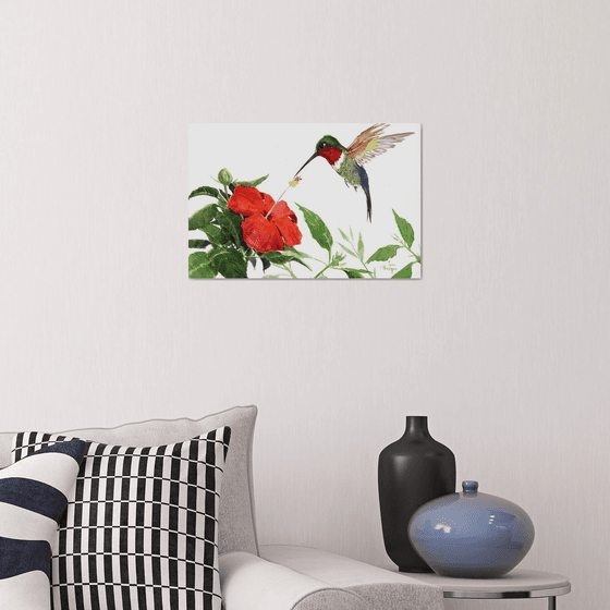 Hummingbird and Hibiscus