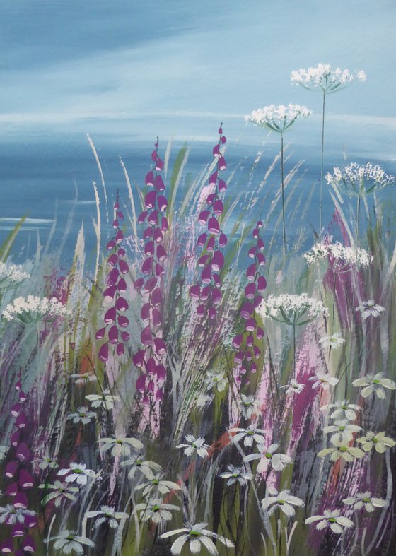 Foxgloves, Cornwall