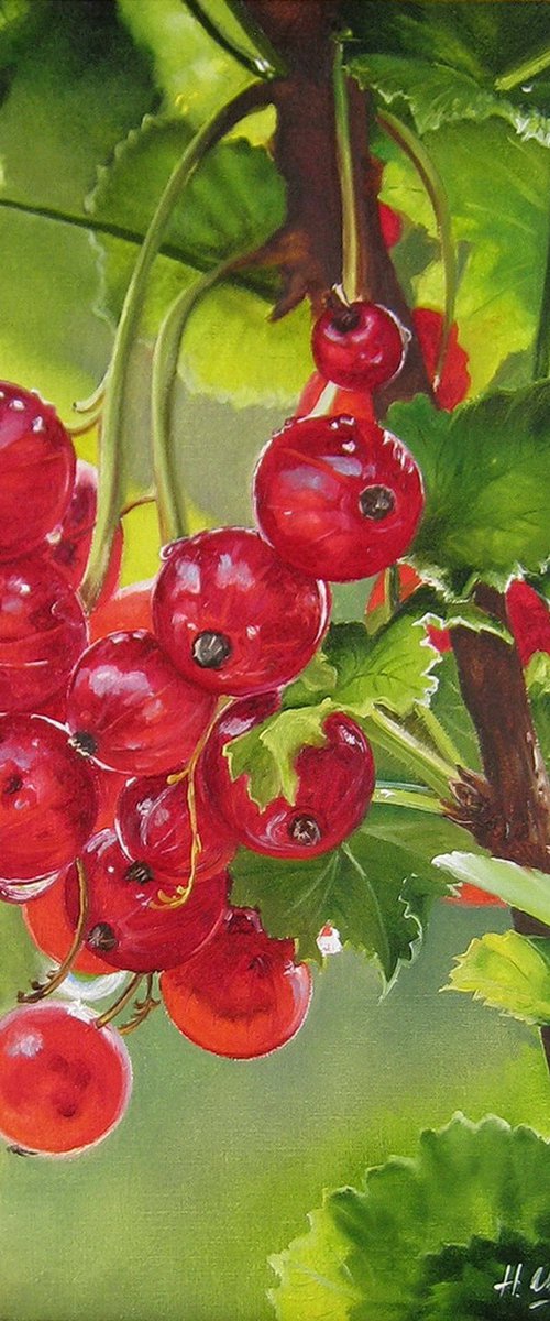 Redcurrants in Garden Light by Natalia Shaykina