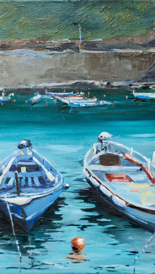 Boats in Vernazza by Sasha Romm