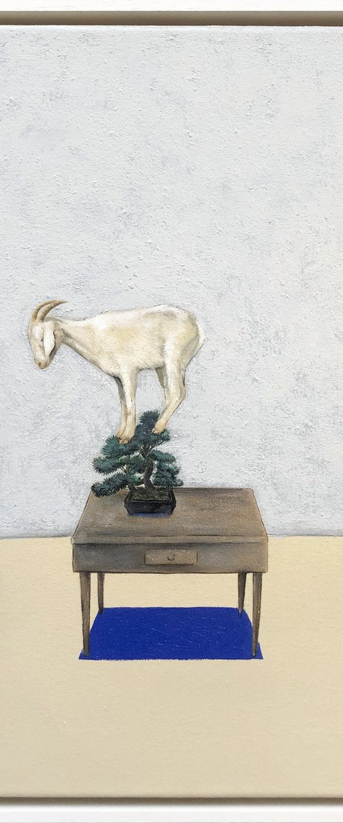 Bonsai and Goat by Joshua Daniels