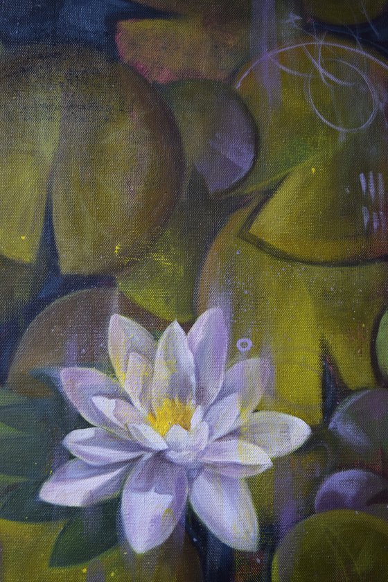 Water lilies