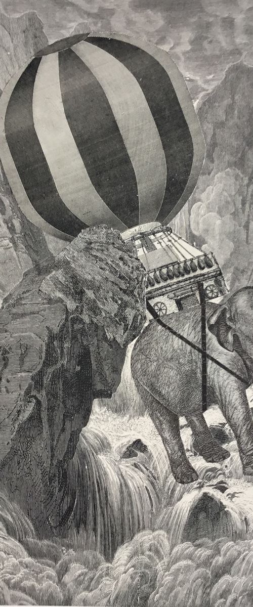Elephant Transport by Tudor Evans