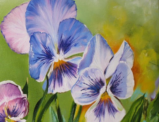Pansy