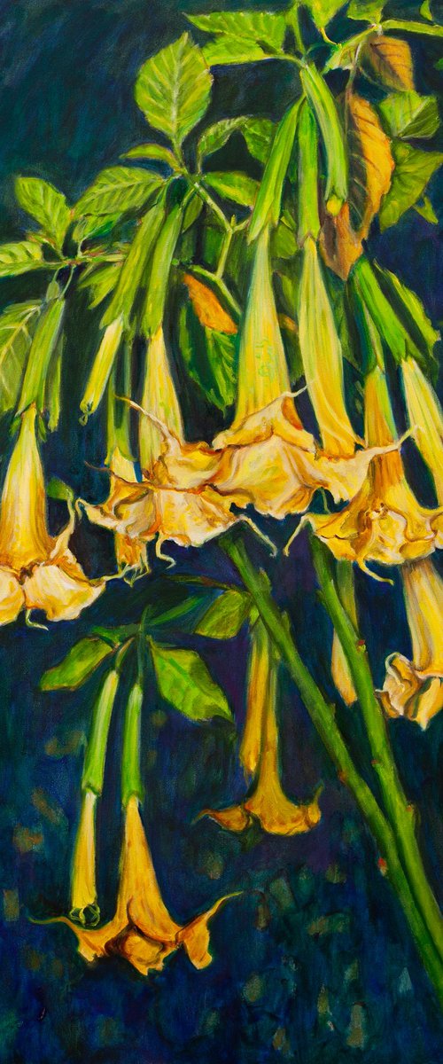 Angels Trumpets II by Liudmila Pisliakova