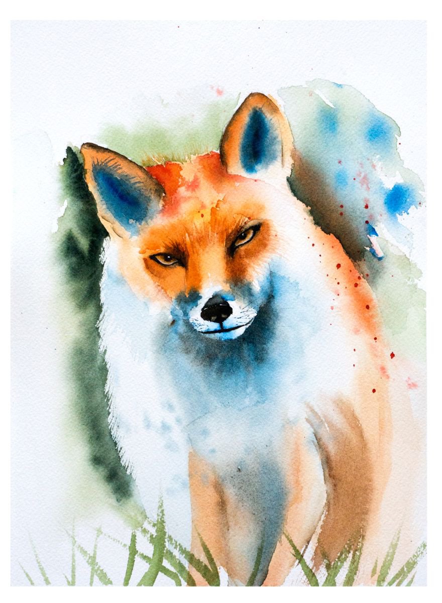 Fox by Olga Shefranov (Tchefranova)