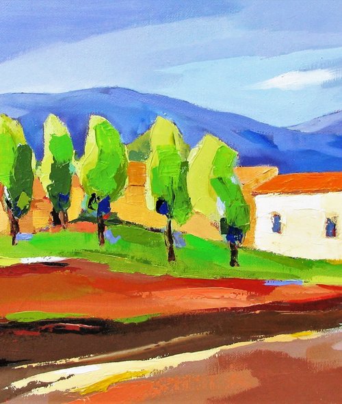 Spring in Provence by Jean-Noël Le Junter