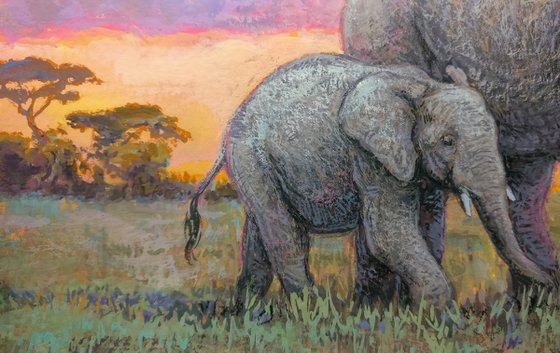 Elephants at sunset