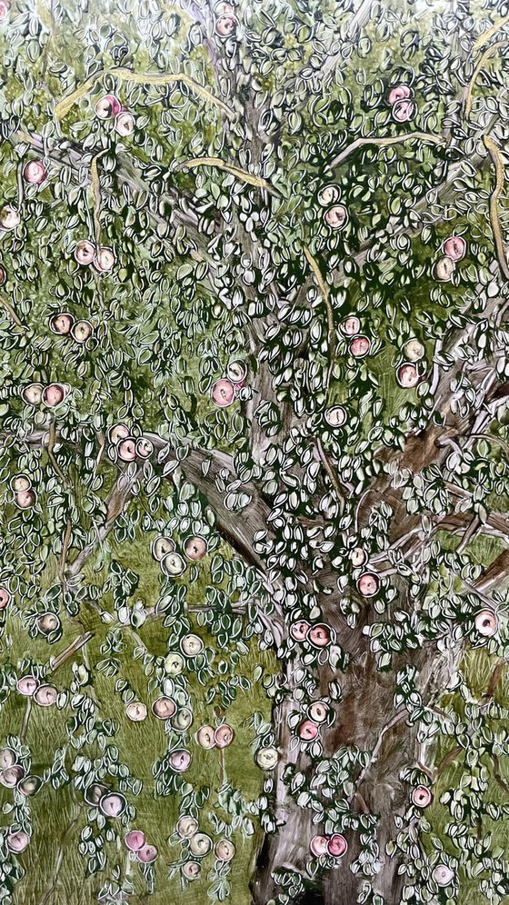 View from the window of an apple orchard.