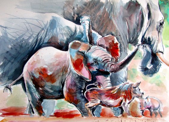 Elephant baby playing