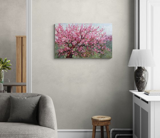 Blooming Peach Tree