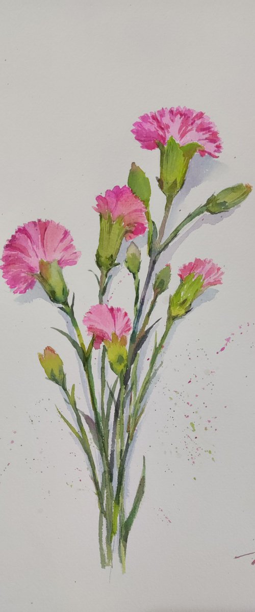 Carnations by Jing Chen