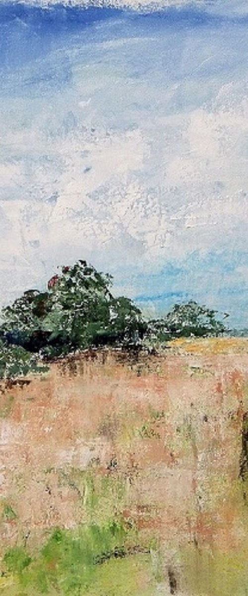 Hampshire landscape Wild Meadow by Sherry Edmondson
