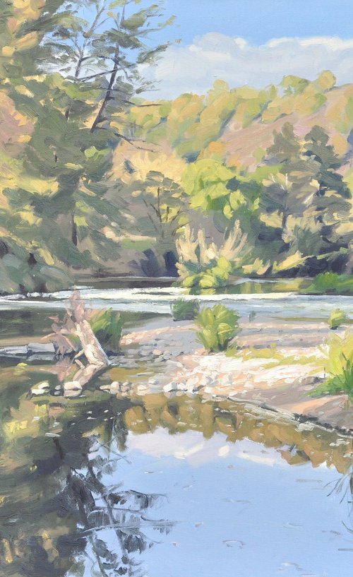 October 10, the Loire in Cheyrac by ANNE BAUDEQUIN