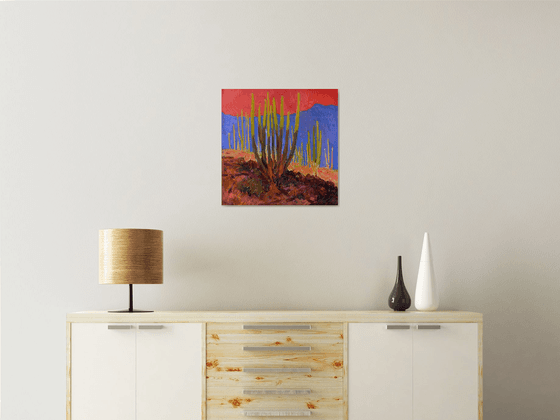 Evening Light. Cactuses