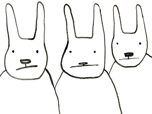 Three Rabbits by Nadim Basna