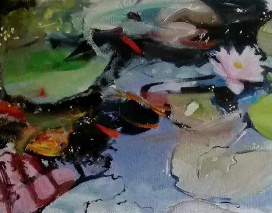 Pond patterns