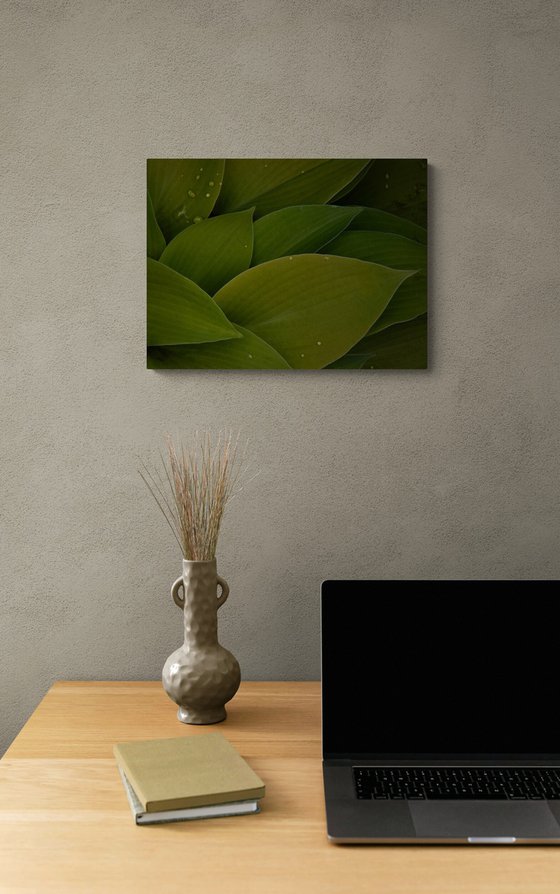 Green Tapestry