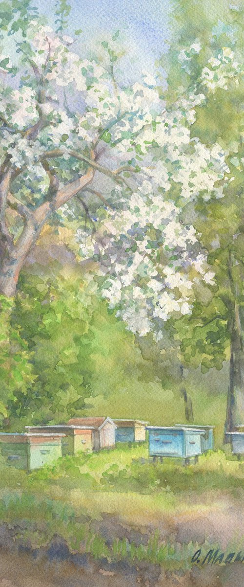 Spring morning at the apiary /ORIGINAL watercolor ~11x14in (28x37cm) by Olha Malko