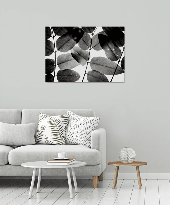 Experiments with Leaves II | Limited Edition Fine Art Print 1 of 10 | 90 x 60 cm