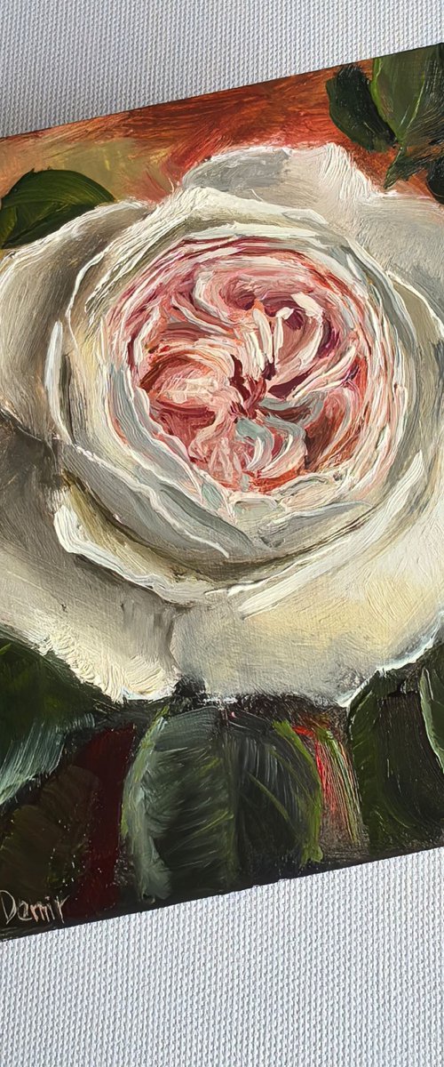 Pink roses still life by Leyla Demir