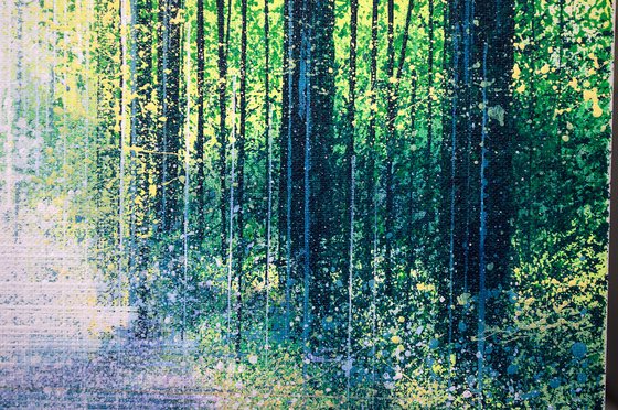 Light In A Spring Forest