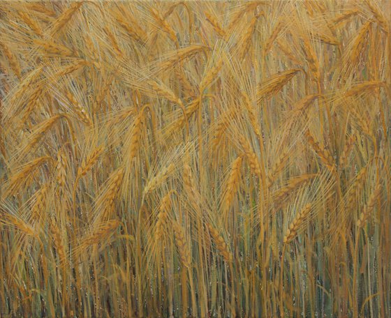 Cereals 2022 , acrylic on canvas, 45 x 55 cm