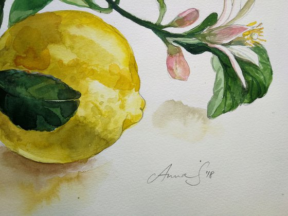 Lemons Watercolor