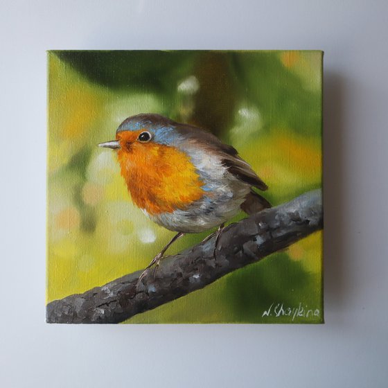 Robin Bird Painting