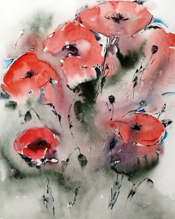 Red poppy painting. Wildflowers
