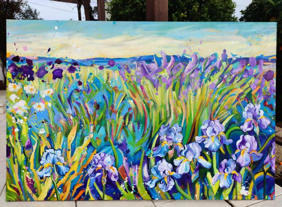 Iris Fields