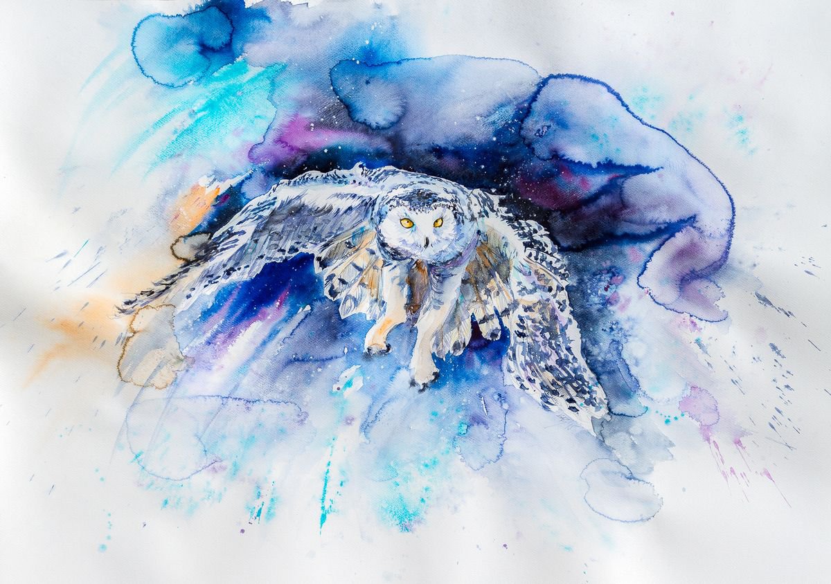 Snowy owl hunting by Kovacs Anna Brigitta
