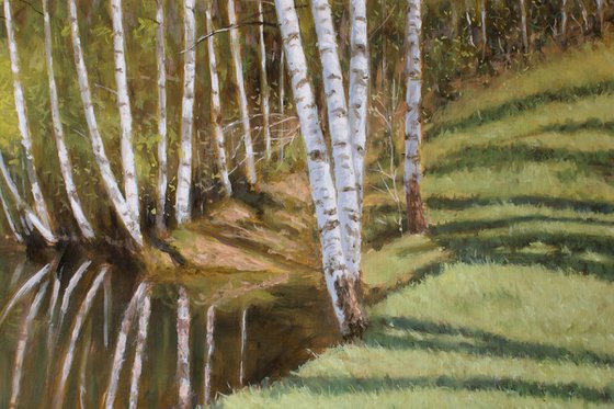 Vlasina Birches