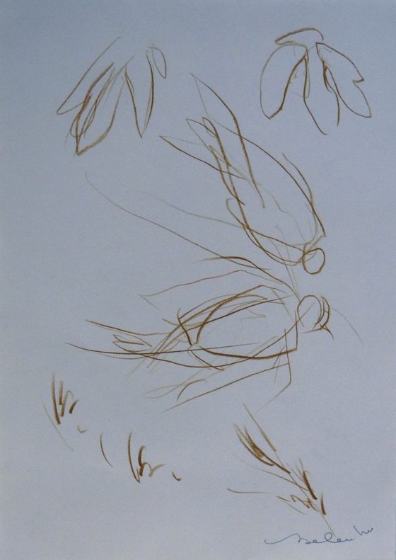 Three sketches - Cats and Birds, 21x29 cm - affordable & AF exclusive !